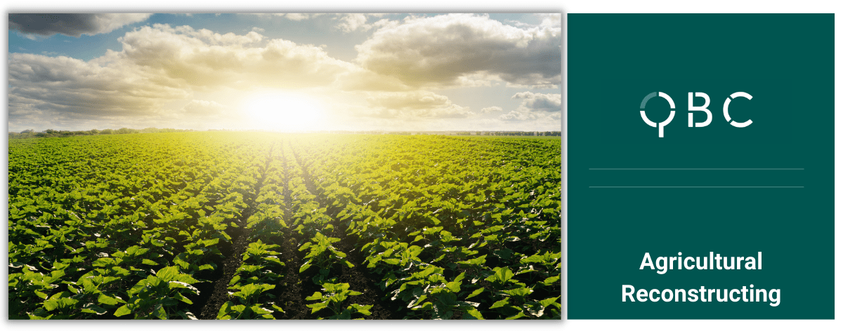 Agricultural Reconstructing (1) Agricultural Reconstructing (1)