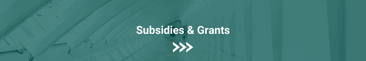 subsidies and grants benefits subsidies and grants benefits