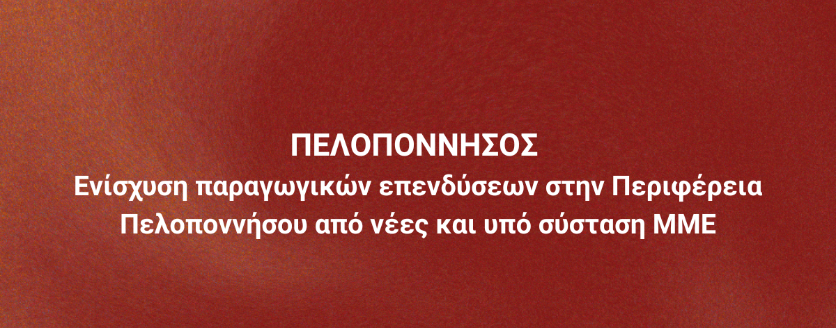 Επιδοτήσεις Site Banners (4)