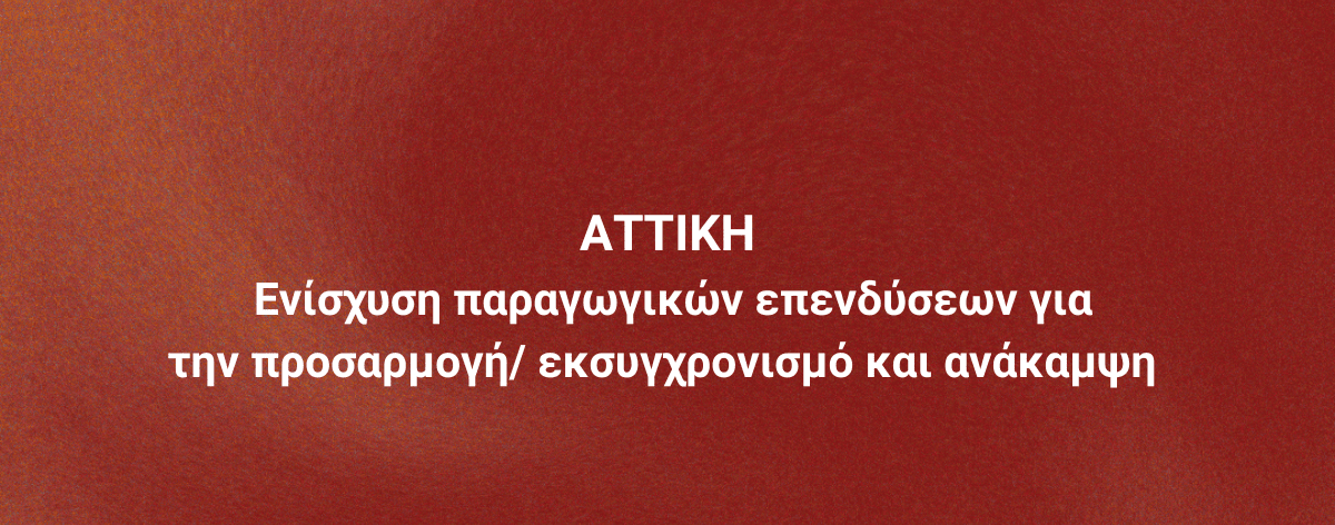 Επιδοτήσεις Site Banners (22)